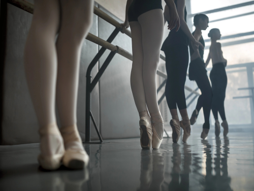 DAS MAUSEKÖNIG TANZ-ANGEBOT IN DER ÜBERSICHT